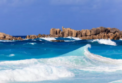 塞舌爾公司逾期年審有什么后果？