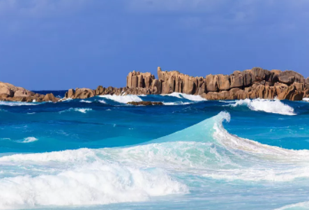 塞舌爾公司逾期年審有什么后果？