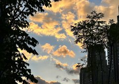 解析中國(guó)投資者適合注冊(cè)哪種類(lèi)型泰國(guó)公司