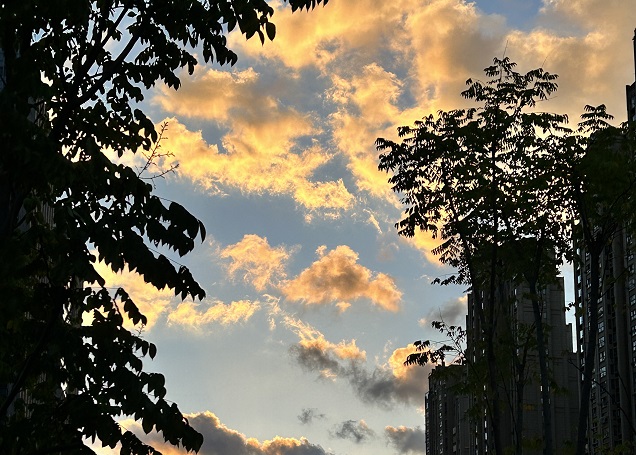 解析中國(guó)投資者適合注冊(cè)哪種類(lèi)型泰國(guó)公司