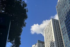 泰國公司年度維護(hù)全指南