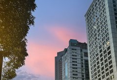 新加坡公司注冊類型選擇：私人有限公司與公眾公司的深度對比